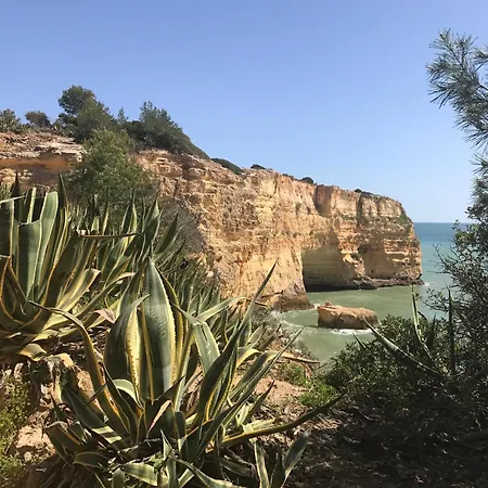 Casa Dos Lobos Lagoa (Algarve)