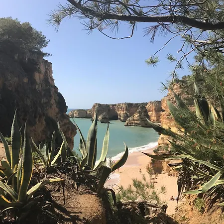 Villa Casa Dos Lobos Lagoa (Algarve)