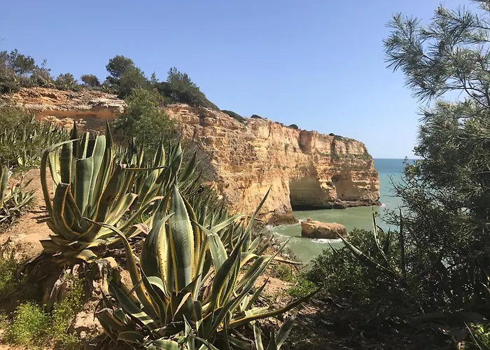 Casa Dos Lobos 拉戈阿