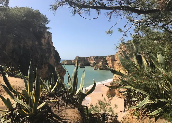 别墅 Casa Dos Lobos 拉戈阿